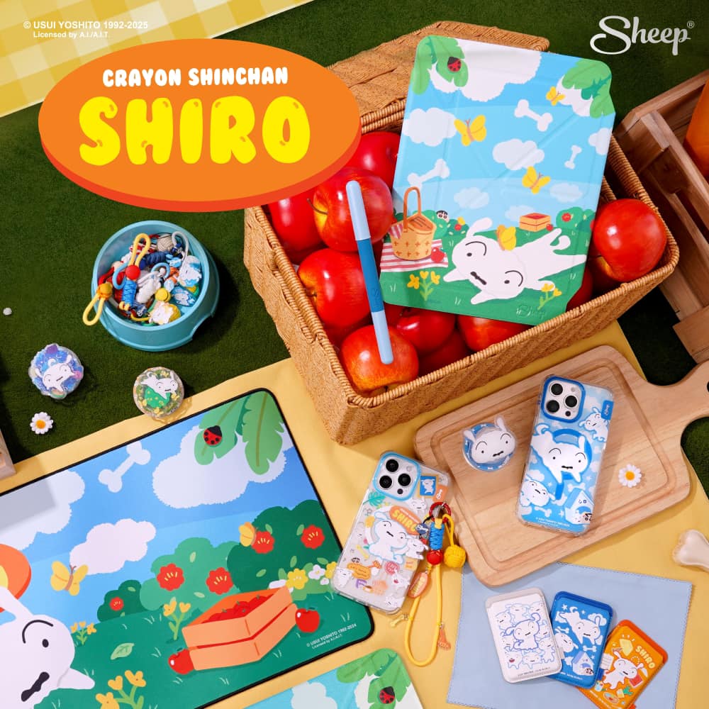 AppleSheep เคส ipadpro มีที่เก็บปากกา Facebook ad