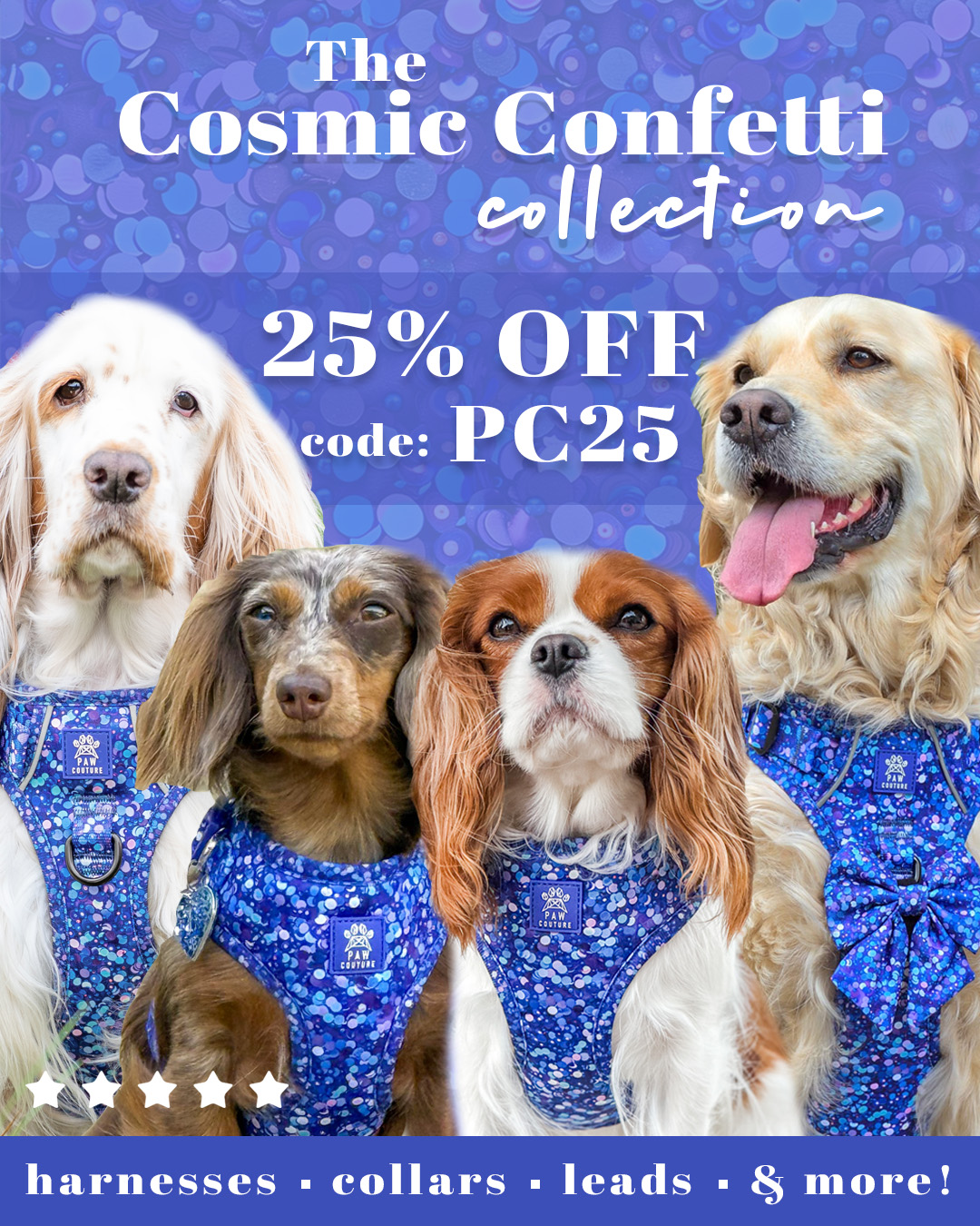 Paw Couture Facebook ad