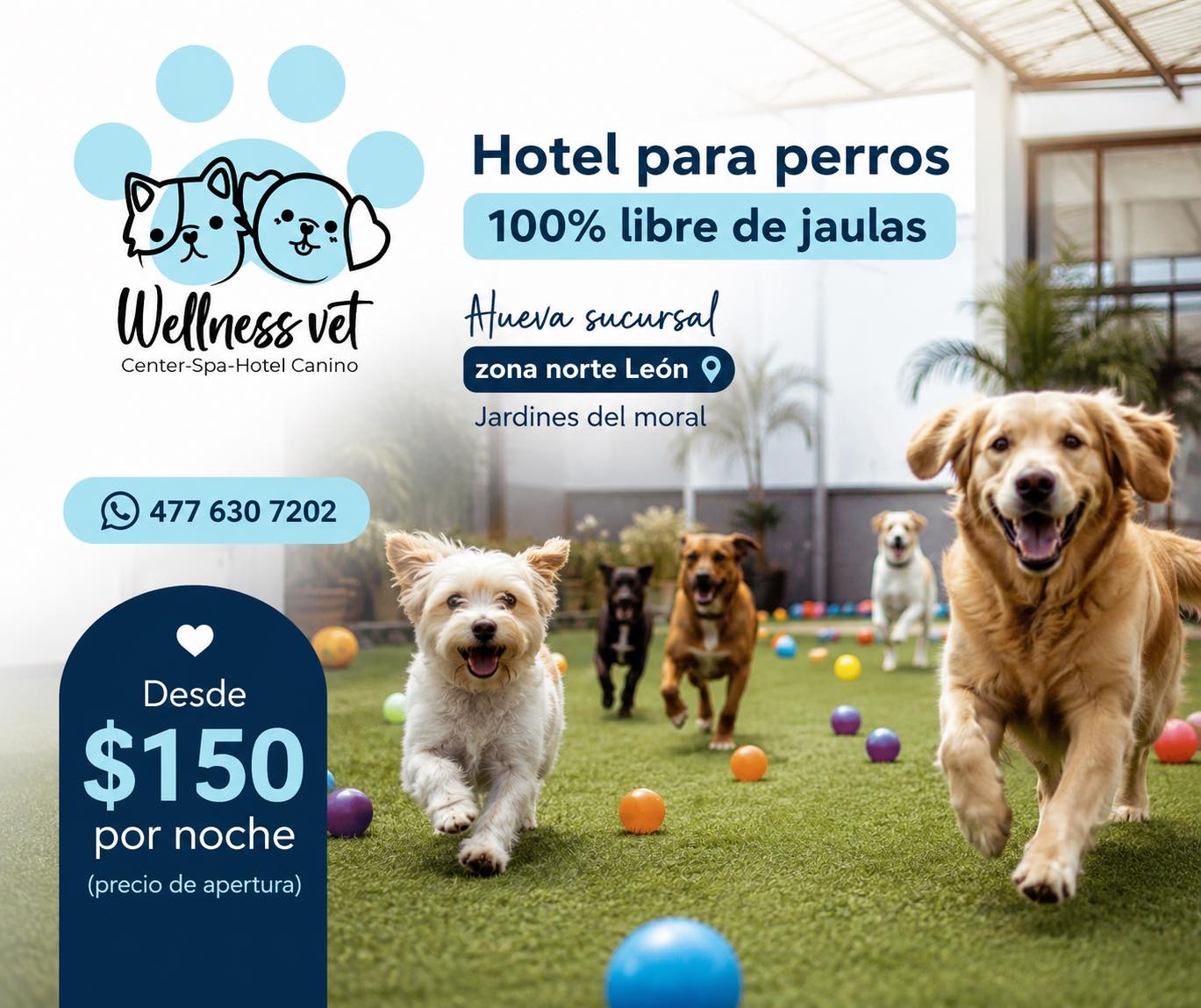 Wellness Vet-Spa Canino Facebook ad