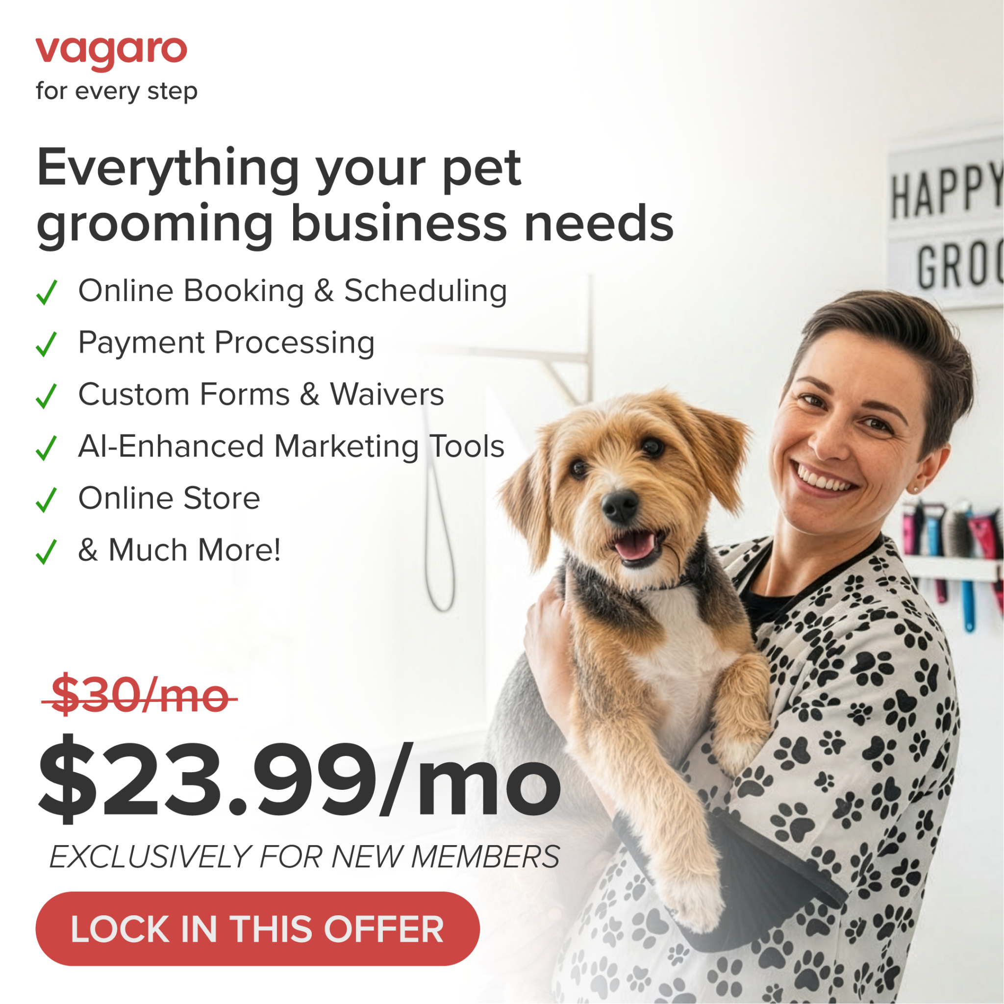 Vagaro Pro Facebook ad