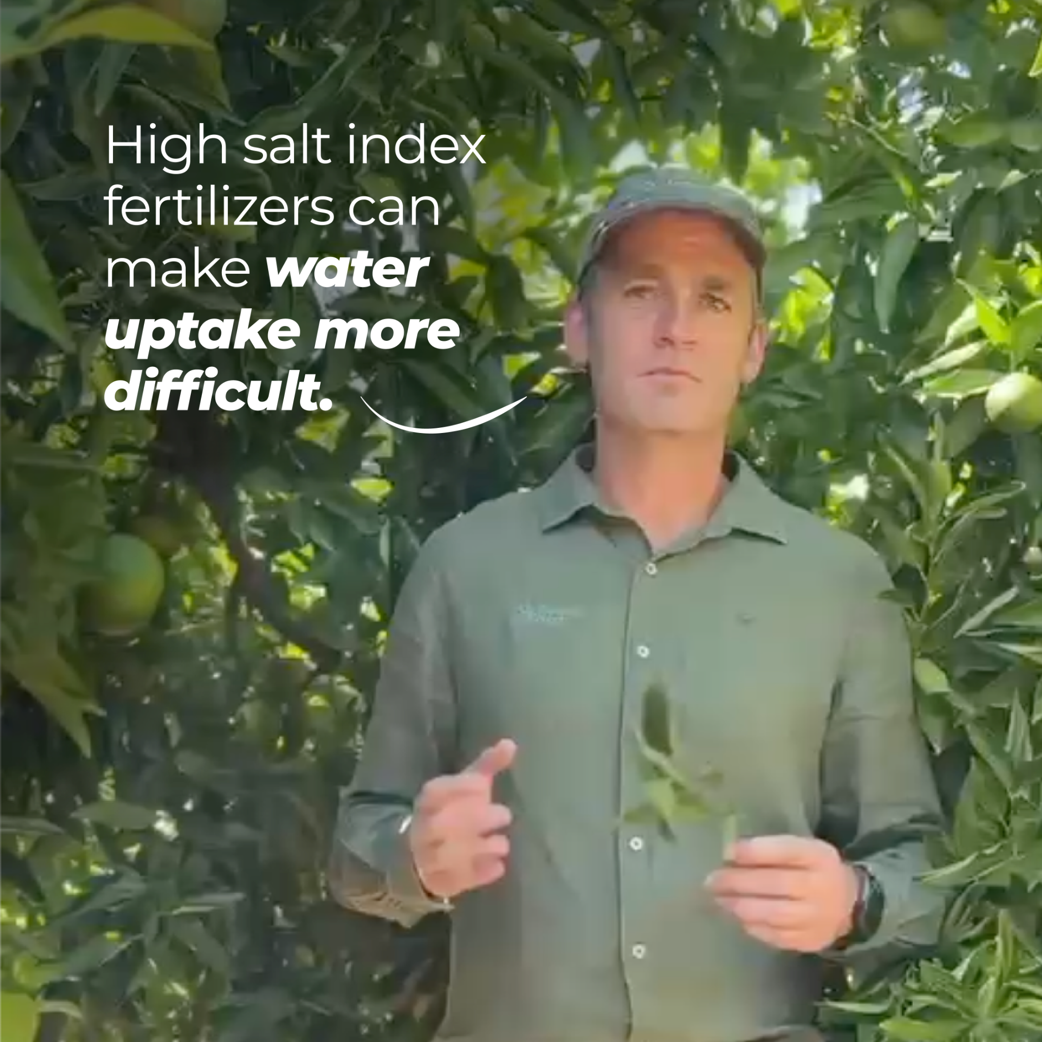 Rovensa Next SSA Facebook ad: Not all potassium fertilizers are created equal