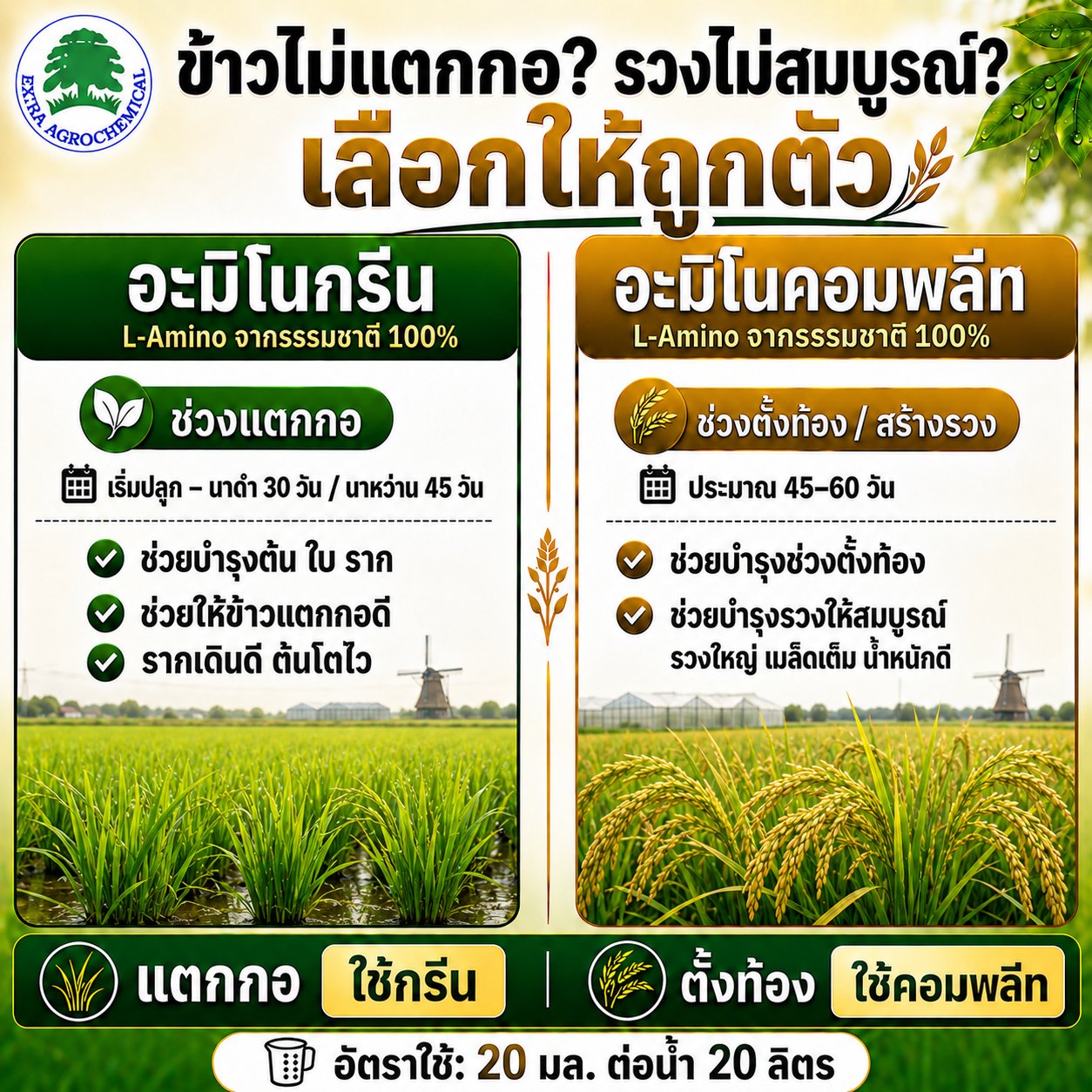 บริษัท เอ็กซตร้า อโกรเคมีคอล จำกัด Facebook ad: ข้าวไม่แตกกอ? รวงไม่เต็ม? เมล็ดลีบ?