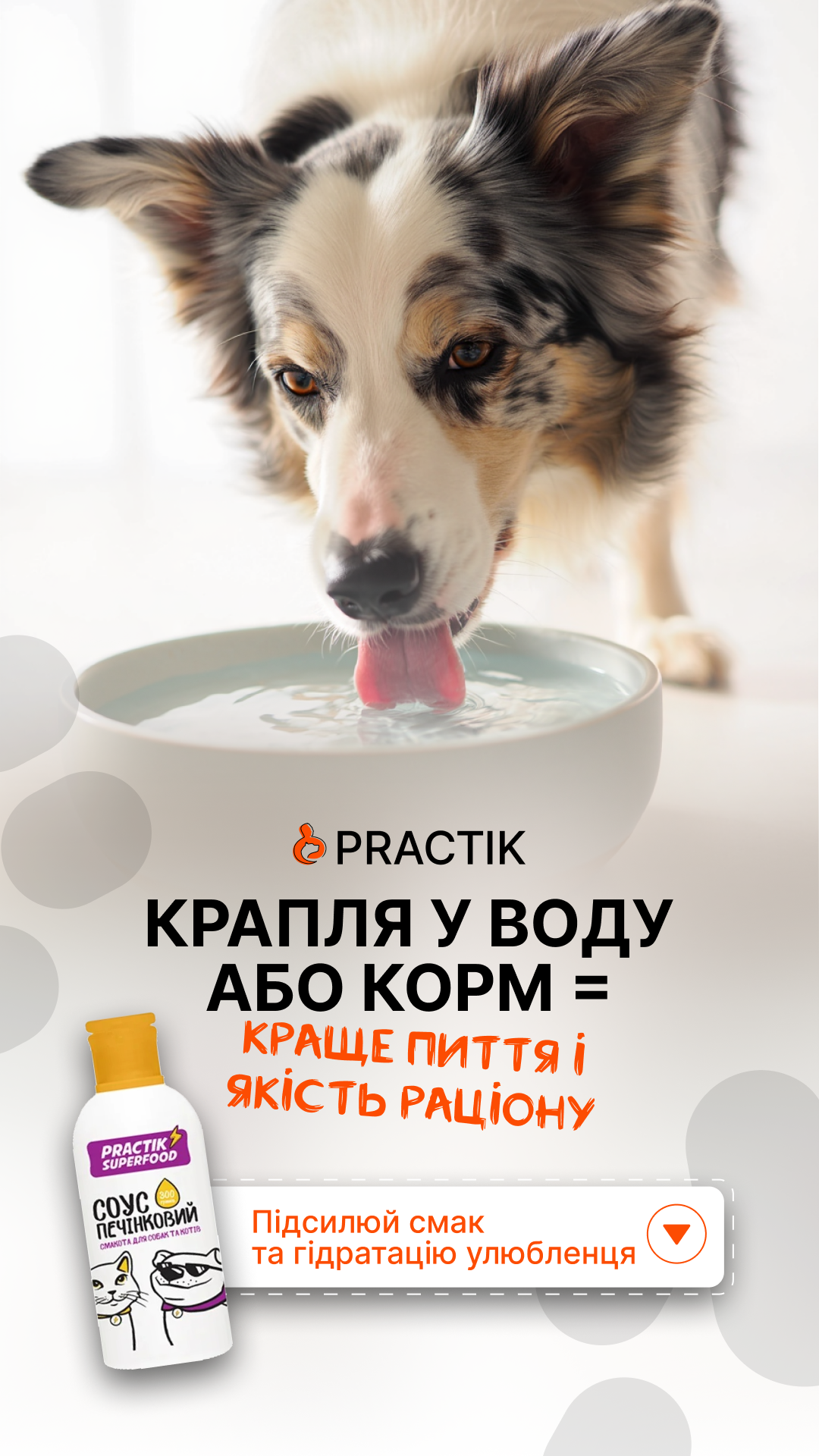 Practik - їжа для собак та котів Facebook ad from Feb 15, 2026