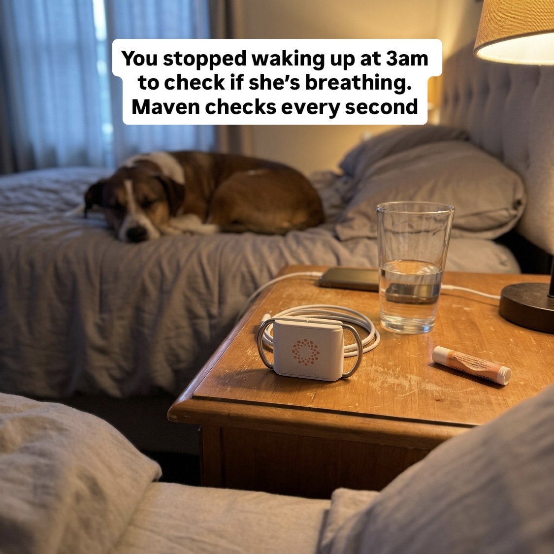 Maven Pet Facebook ad