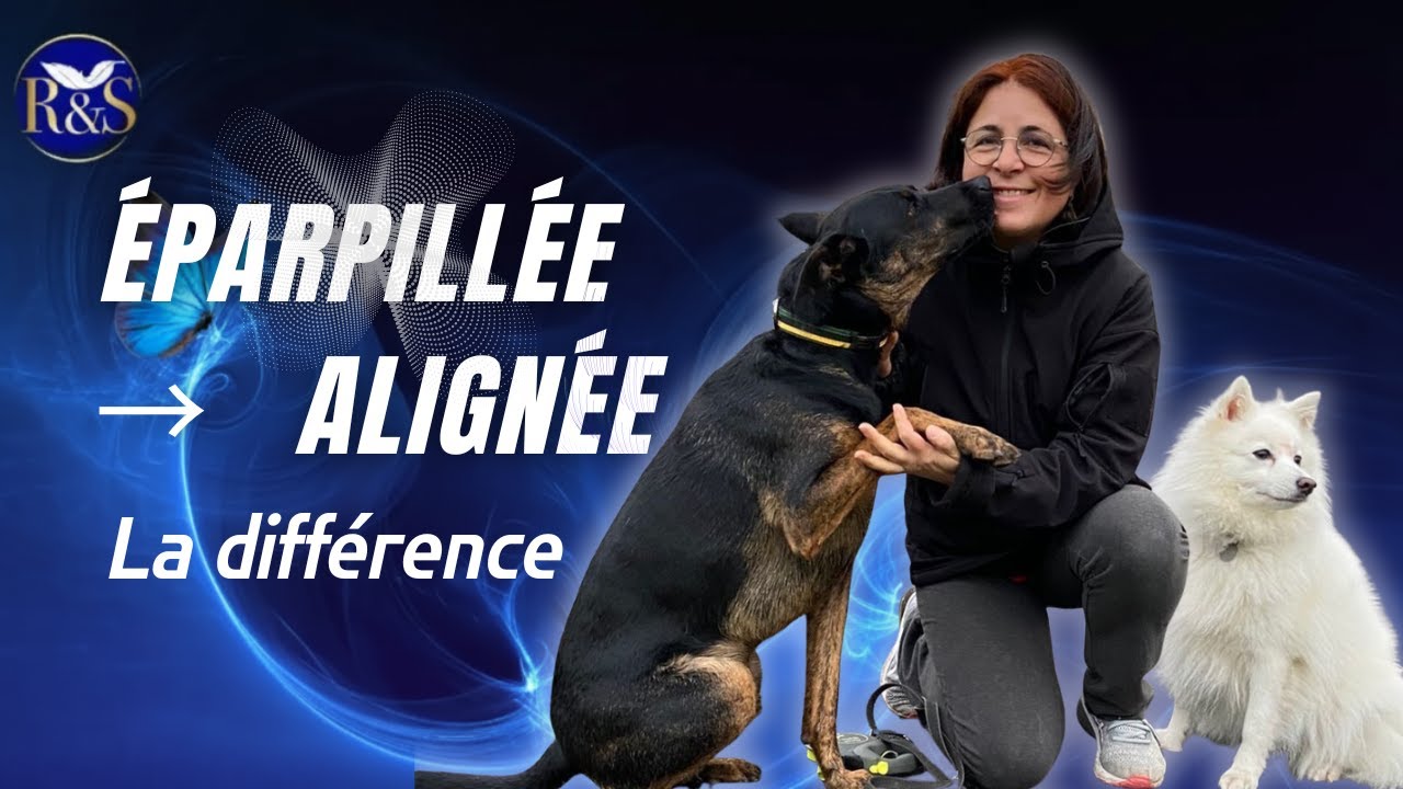 Grégory Vivas - Incarne ta Vraie Mission de Vie Business Facebook ad: Elle pleurait devant les chiens abandonnés. Aujourd'hui…