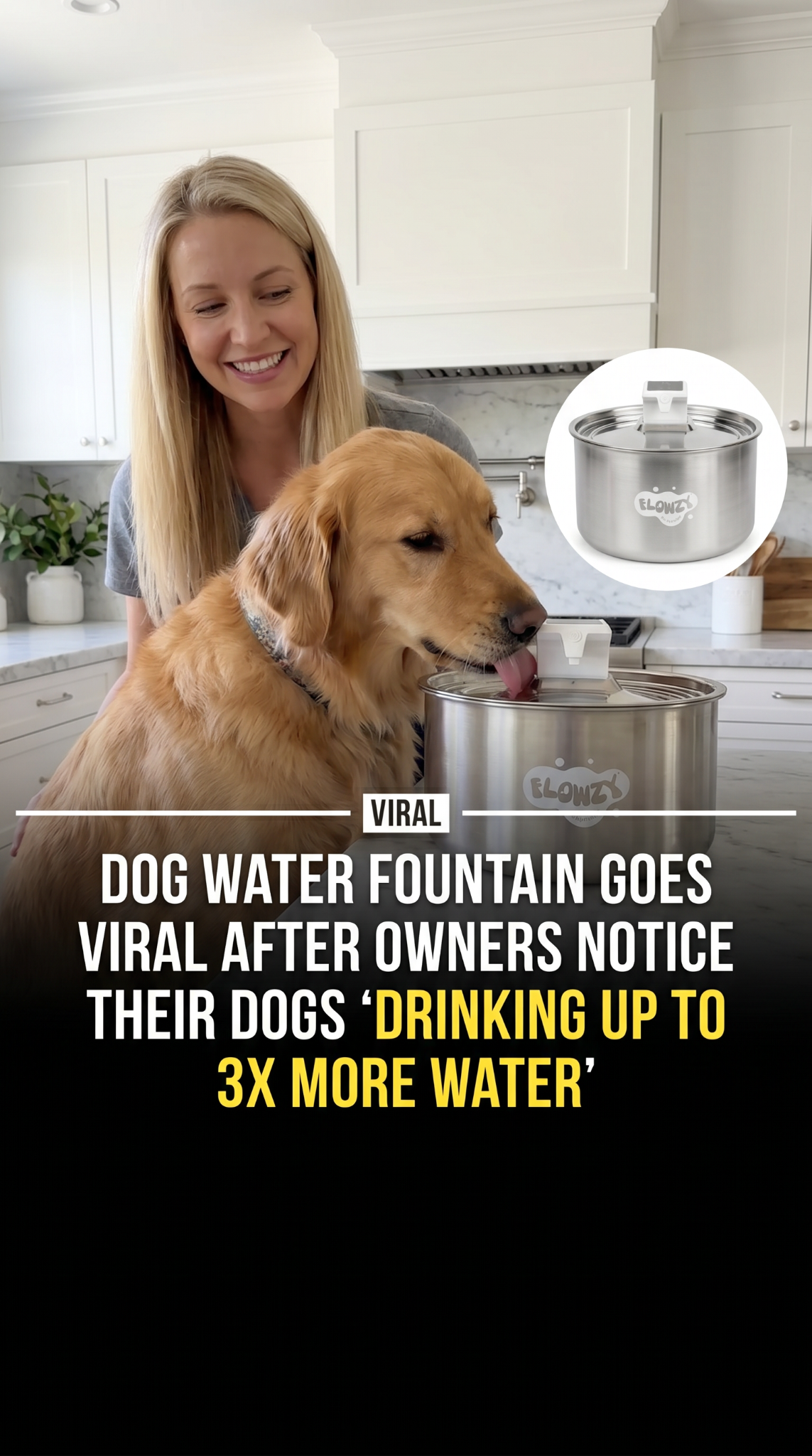 Flowzy Facebook ad