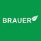 Brauer