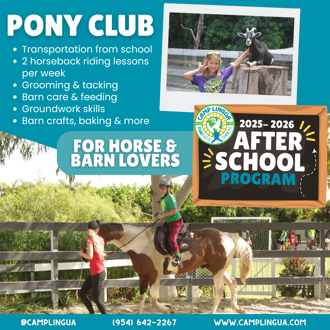 Camp Lingua Facebook ad: After school just got exciting!