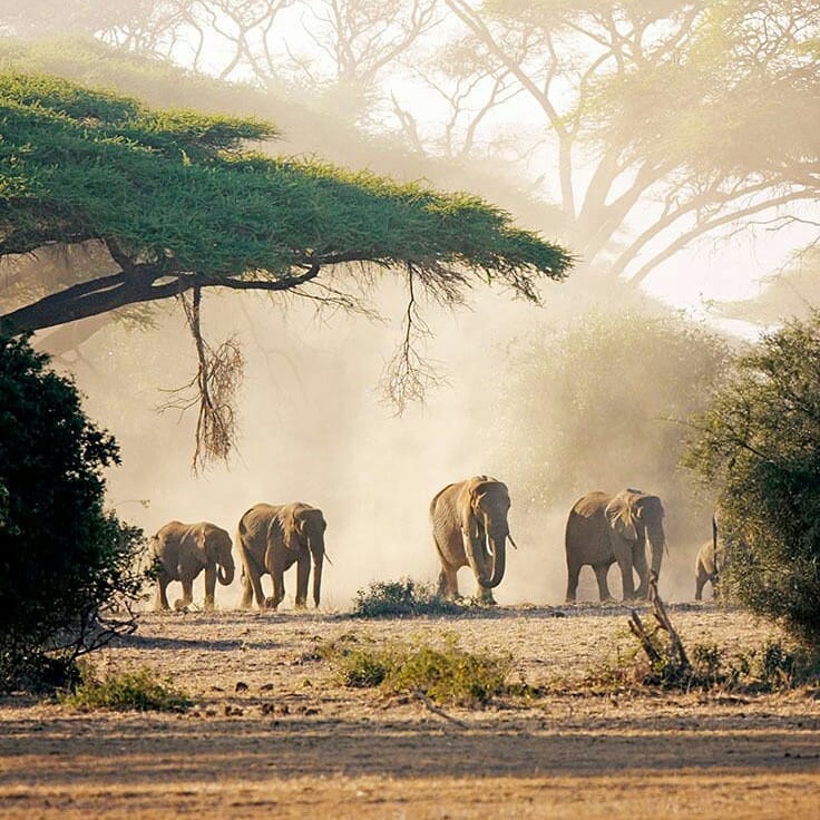 Adventure Travel Kenya Facebook ad: What a view from Amboseli national park!