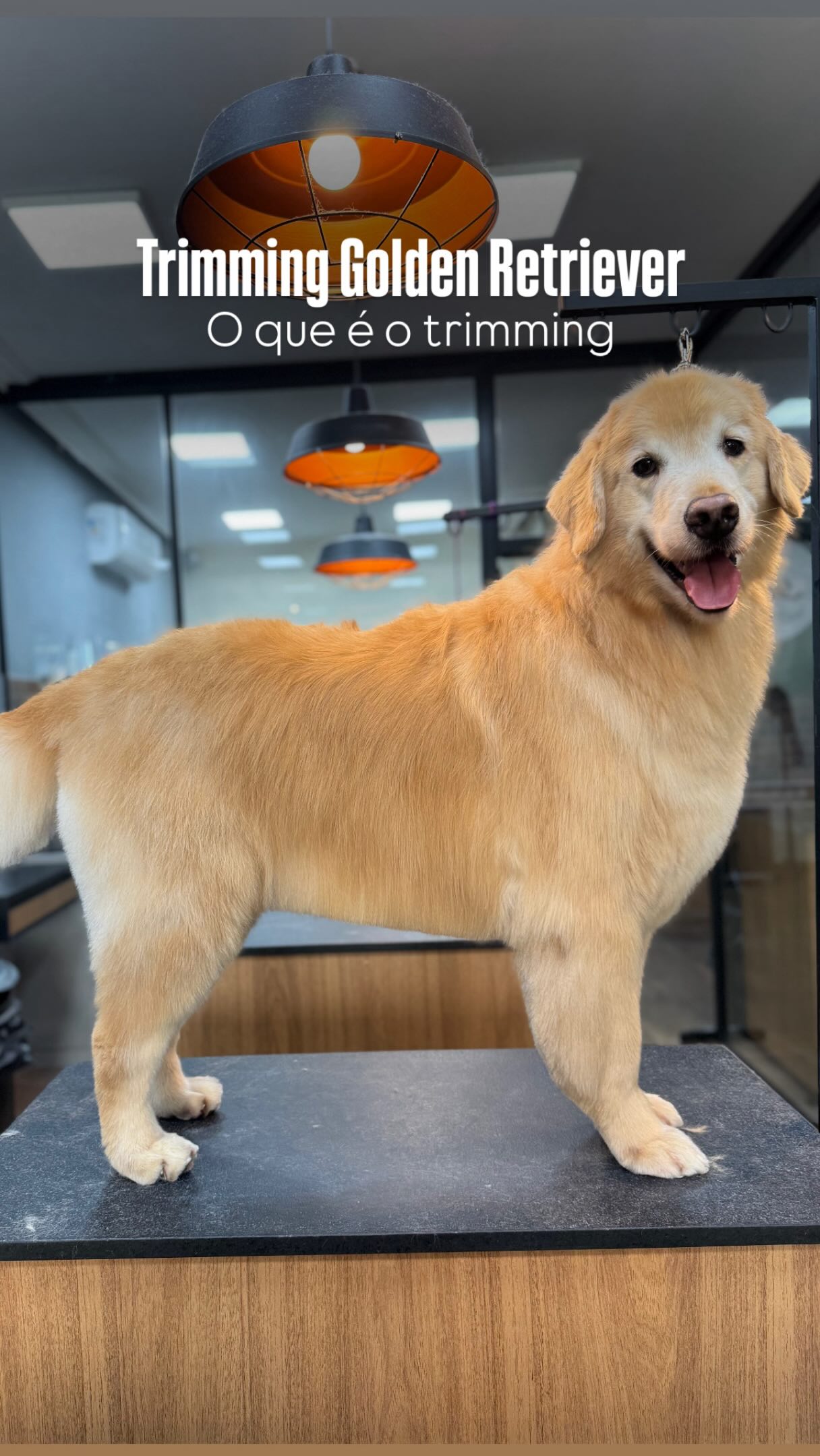 Au Go Grooming Facebook ad: Trimming não é apenas estética, é cuidado!