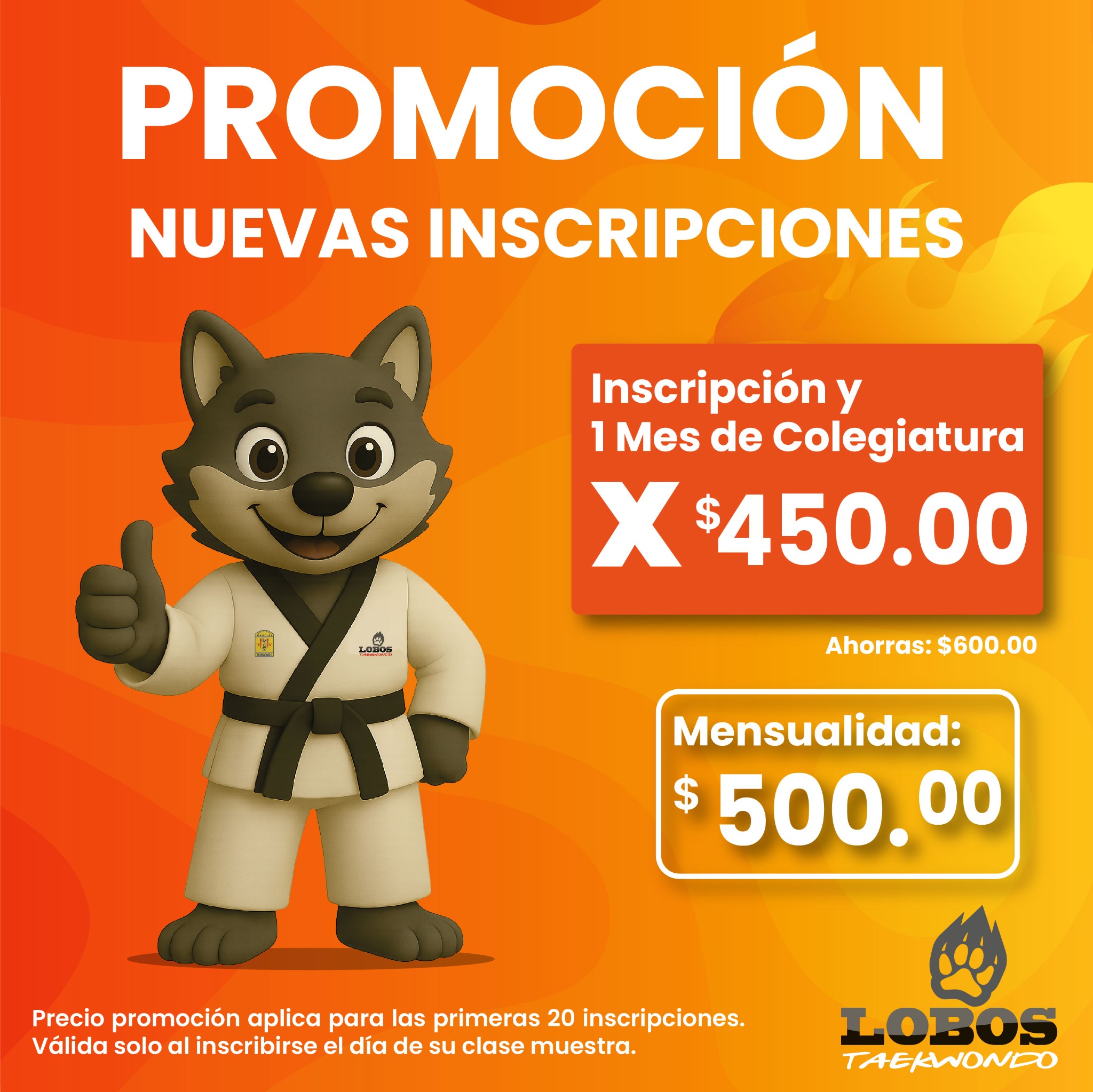 Lobos Pachuca Facebook ad: ¿Buscas disciplina, valores y diversión para tus peques?