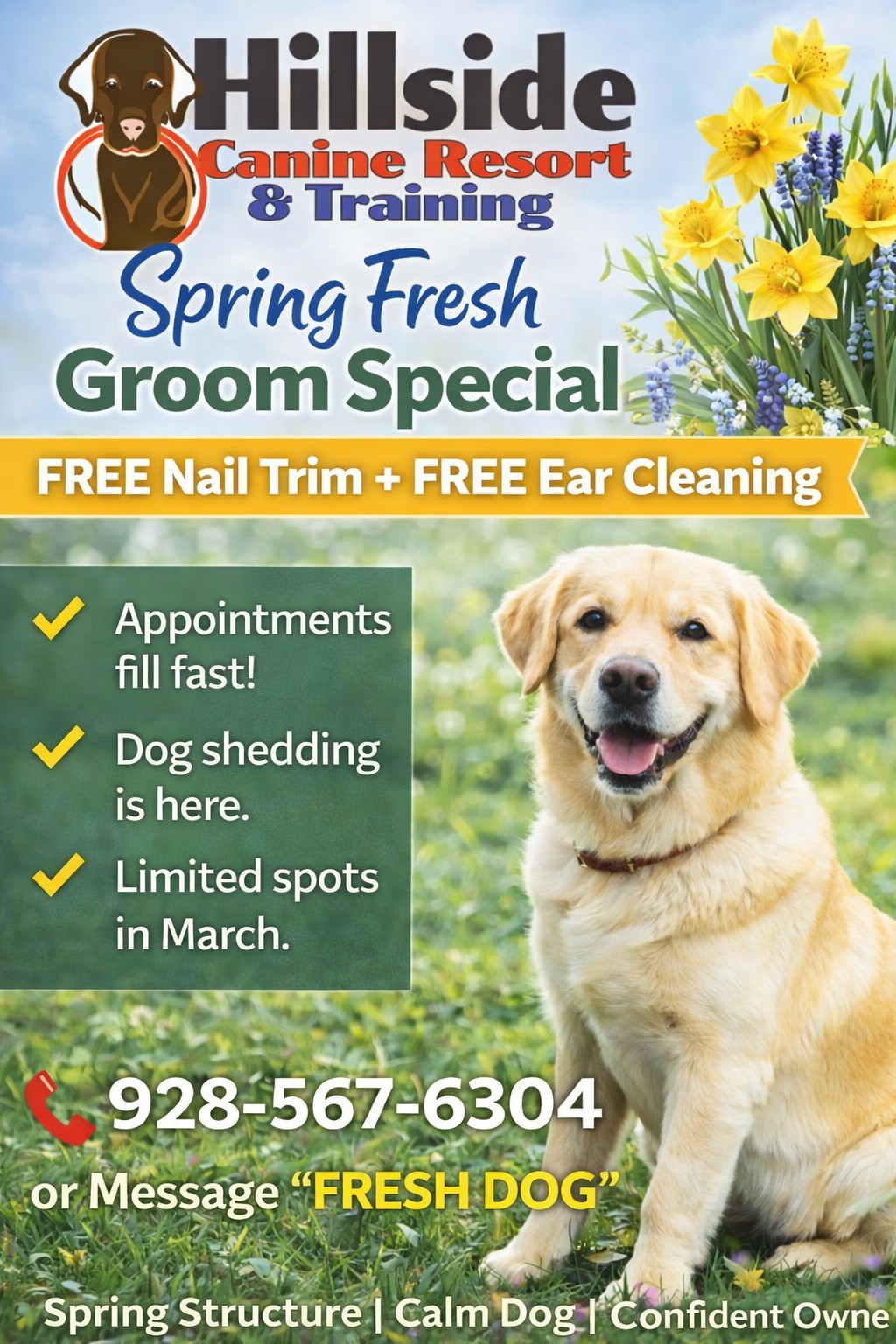 Hillside Canine Facebook ad