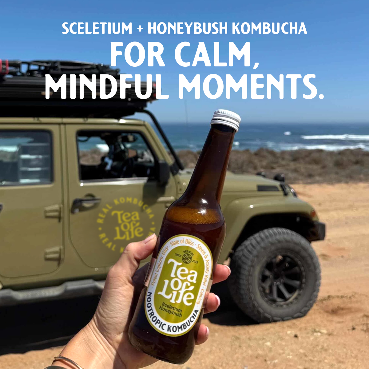 Tea of Life Raw Kombucha Facebook ad: Honeybush, Sceletium & Live Cultures
