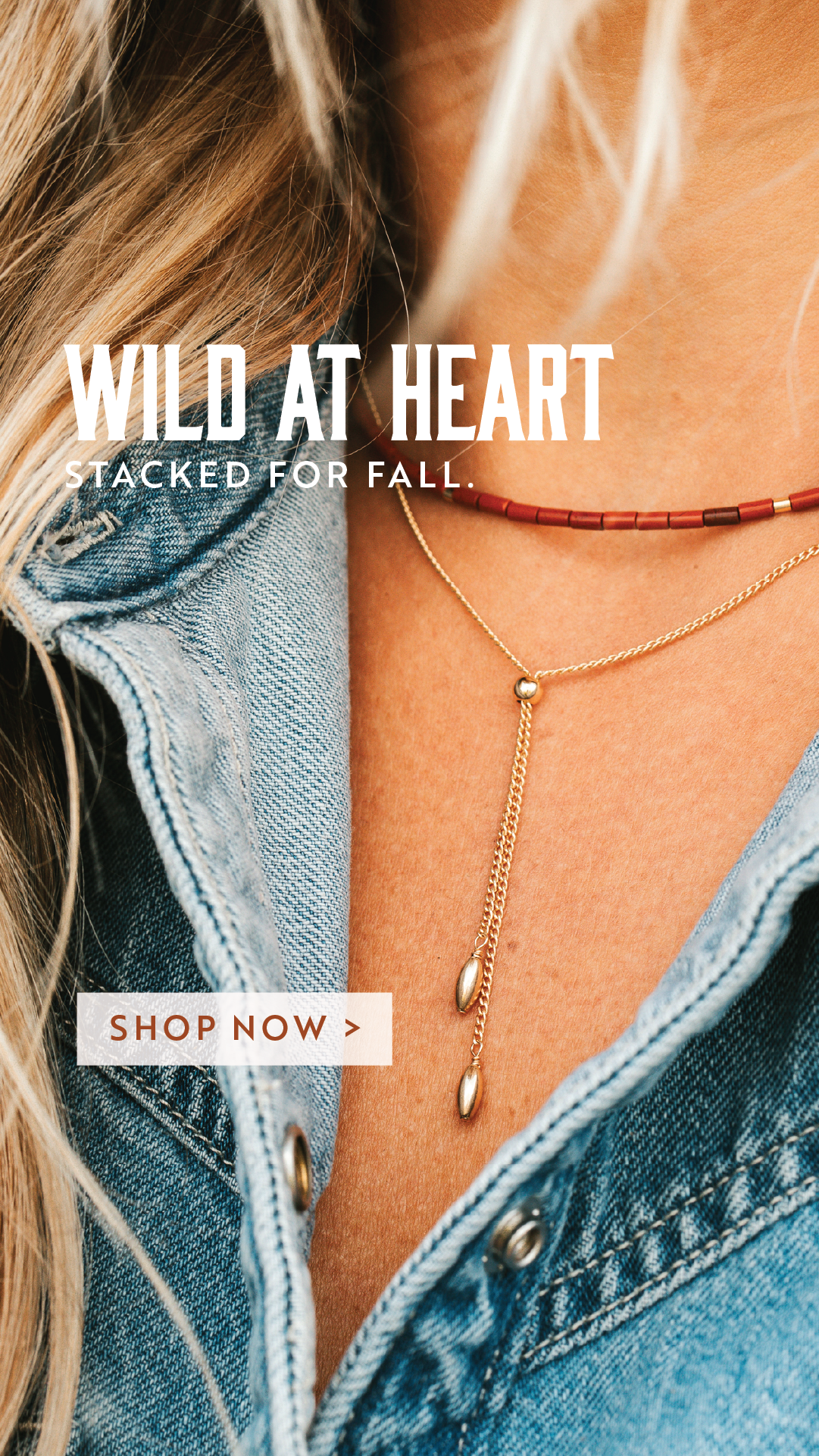 Hello Adorn Facebook ad
