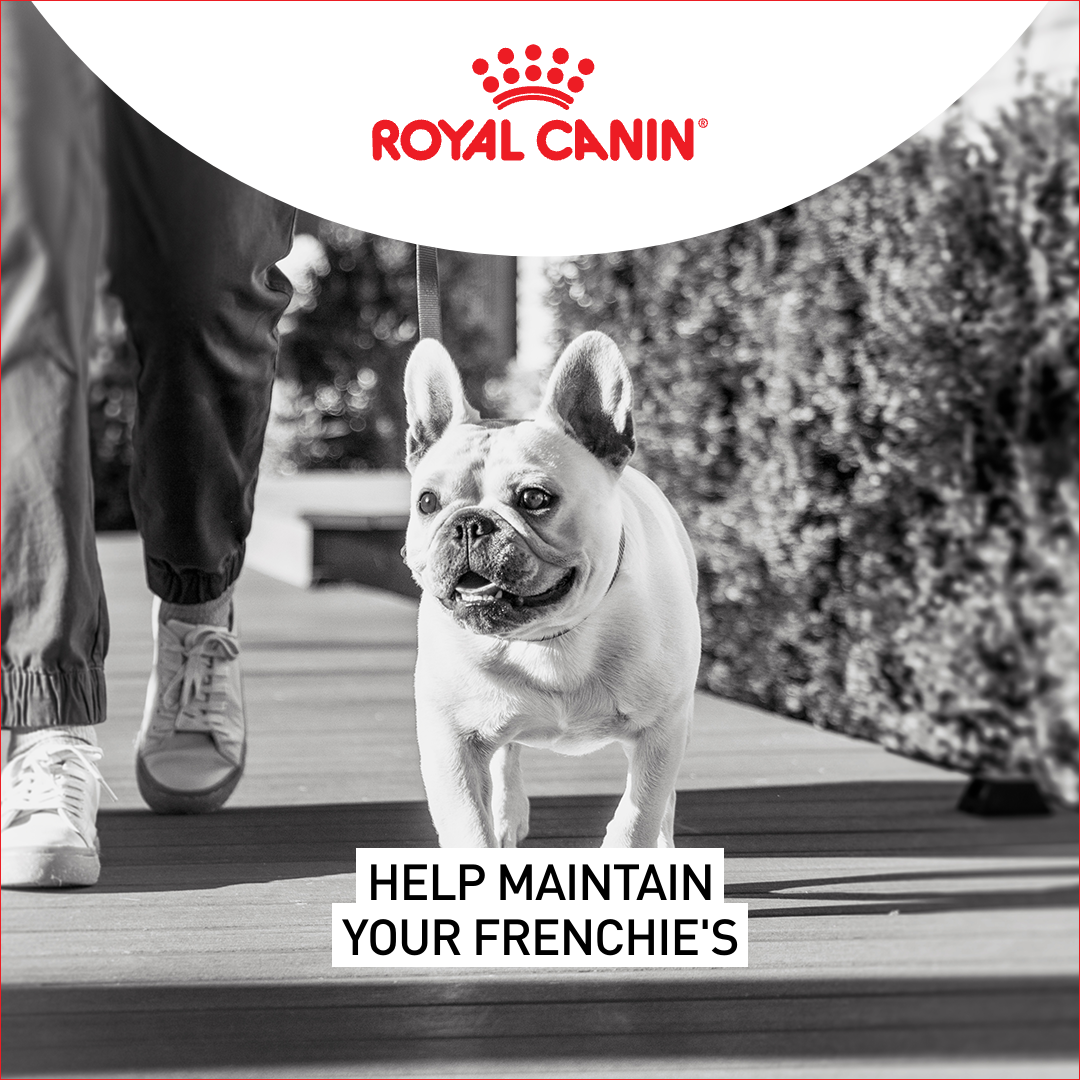 Royal Canin Facebook ad: Royal Canin Breed Health Nutrition formulas are precisely…