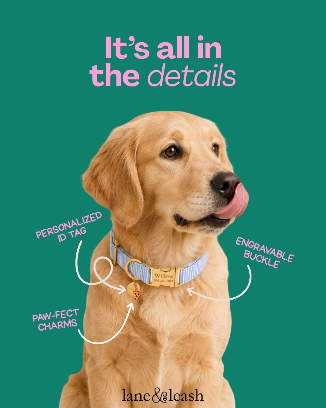 Lane&Leash Facebook ad