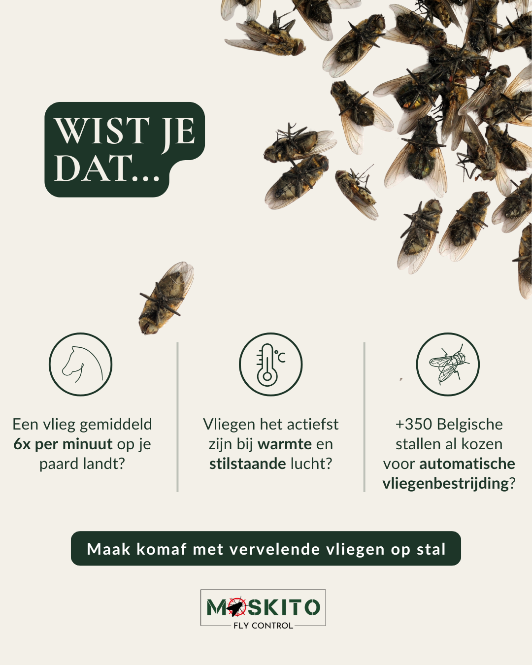C&C Complet Facebook ad