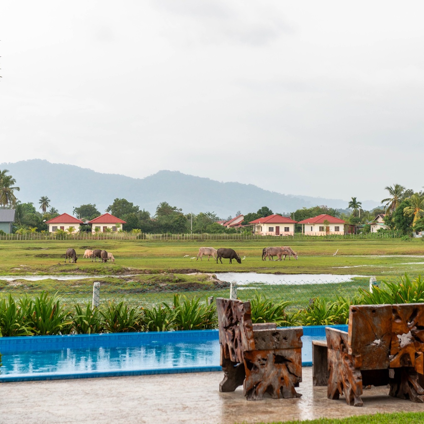 Limasan Villa Langkawi Facebook ad: Finding peace in the heart of Langkawi at…