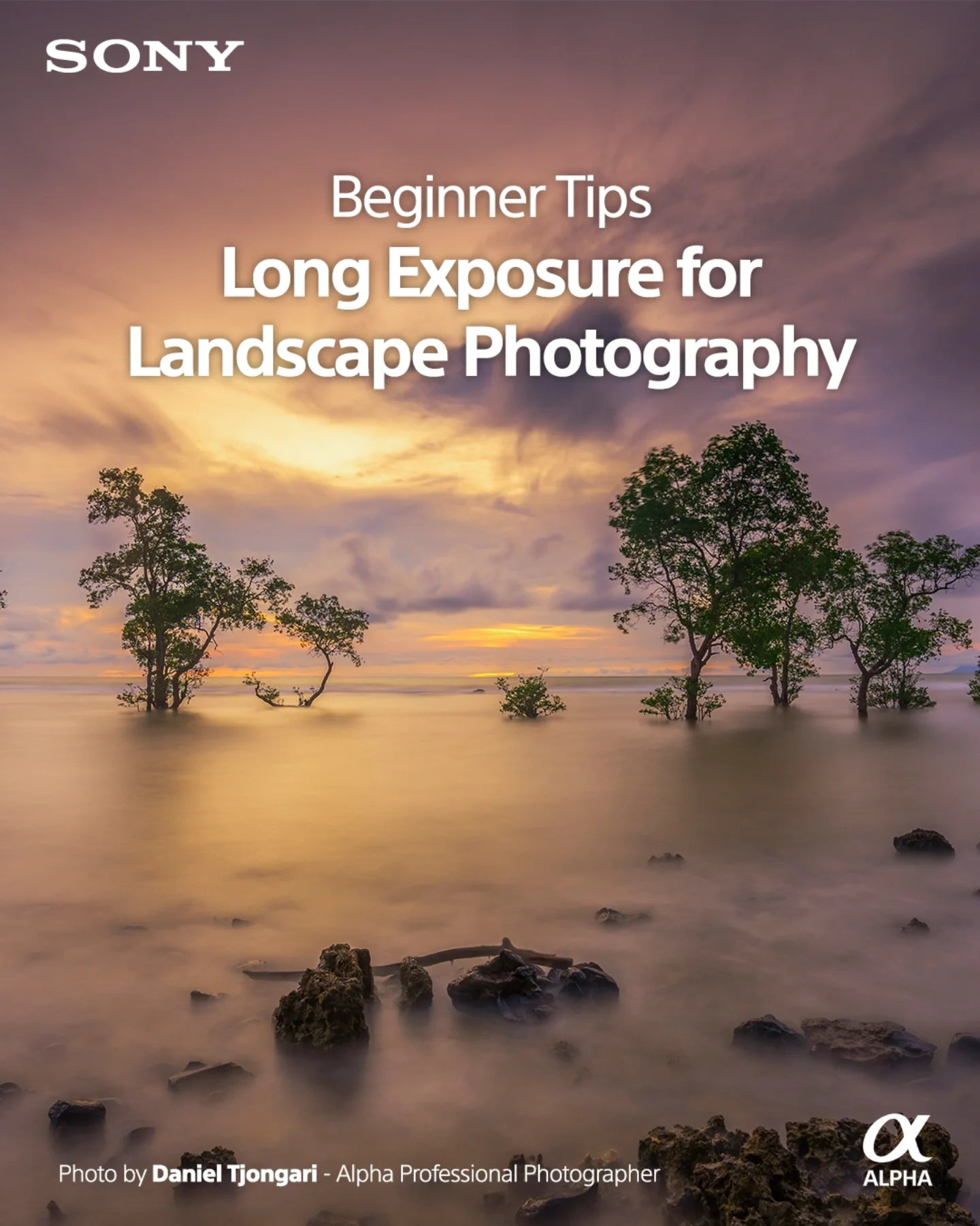 Sony - Alpha Universe - Indonesia Facebook ad: Dalam fotografi landscape, long exposure membuka cara baru…