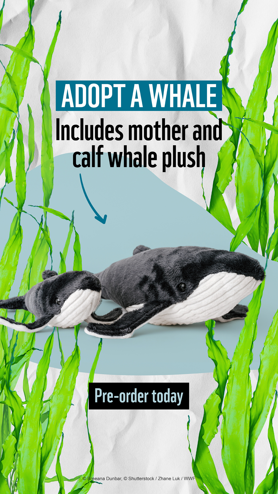 WWF-Australia Facebook ad from May 31, 2026