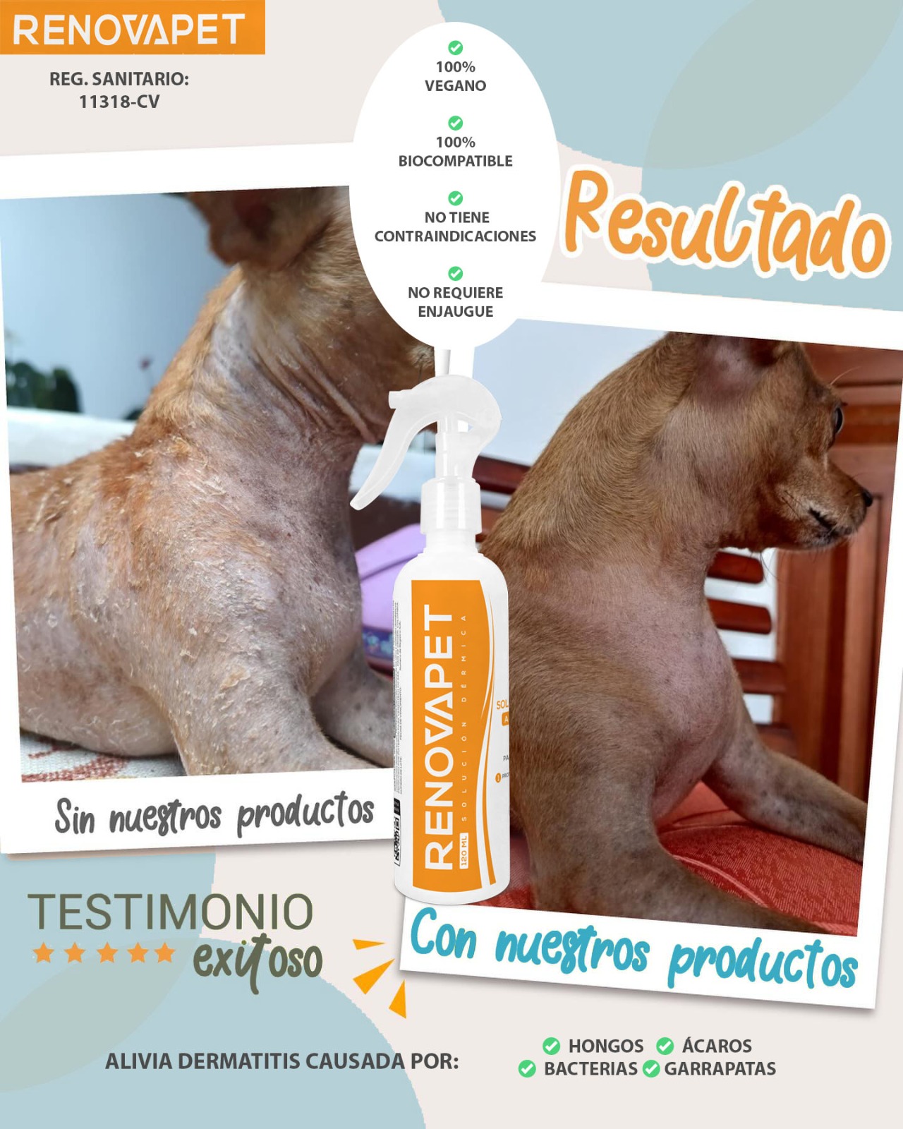 PetyPup Facebook ad