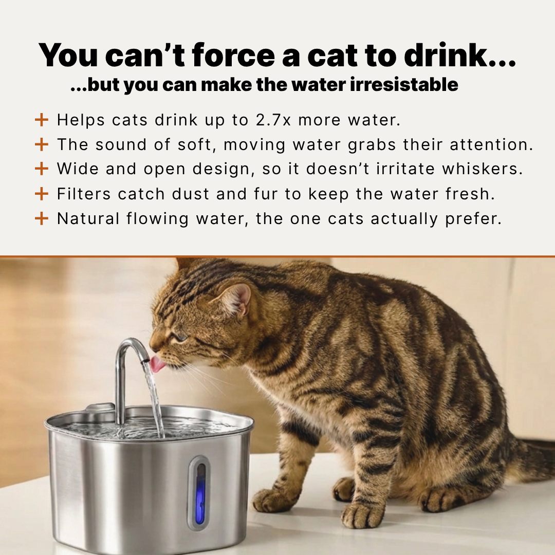 KittySprings Facebook ad: Makes The Vet's Task Easy