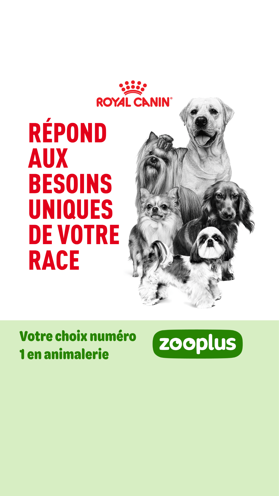 zooplus Facebook ad
