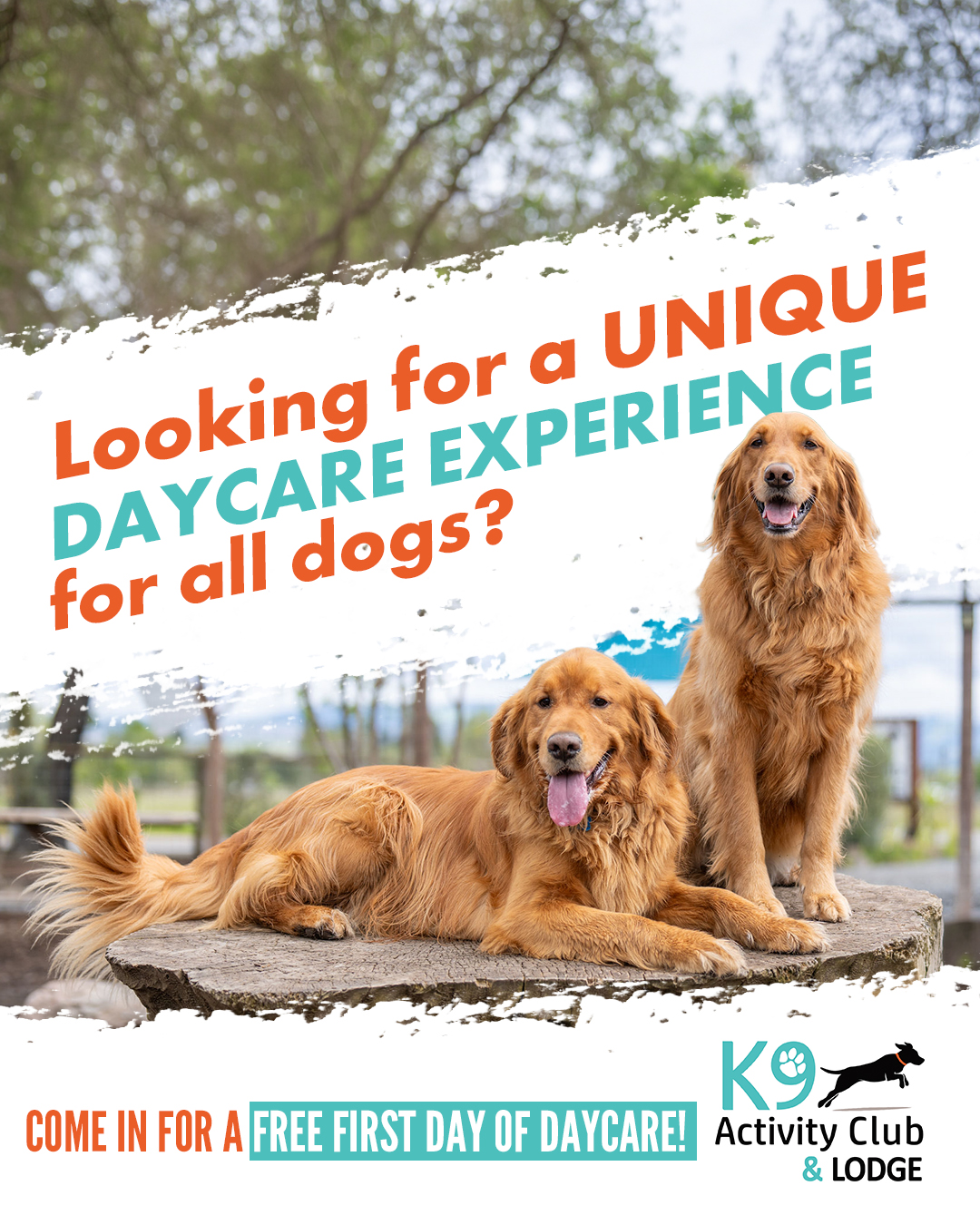 K9 Activity Club Training Facebook ad: Free Daycare Pass When You Tour Our 1.5-Acre Dog Resort!