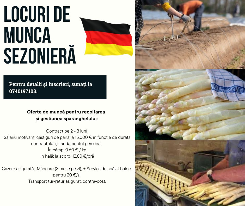 GeoJucan Transcom Facebook ad: Discută cu noi