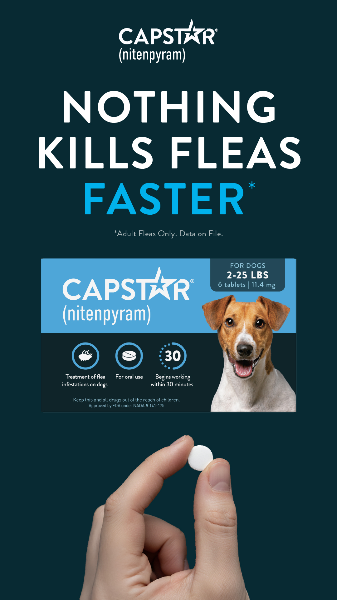 Capstar (nitenpyram) Facebook ad