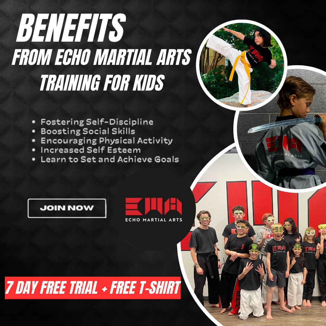 Echo Martial Arts Facebook ad: 7-Day Free Trial Martial Arts + Free T-shirt