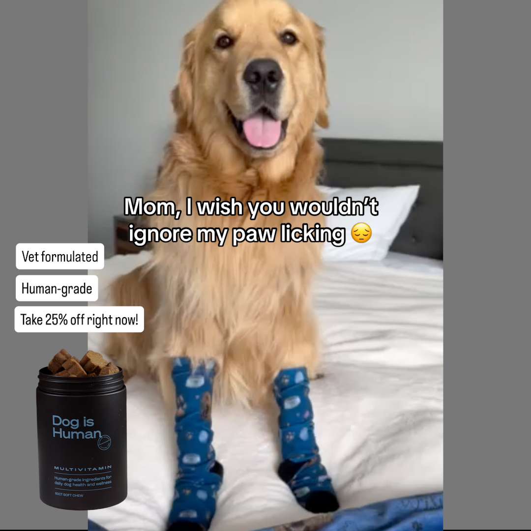 Dog is Human Facebook ad