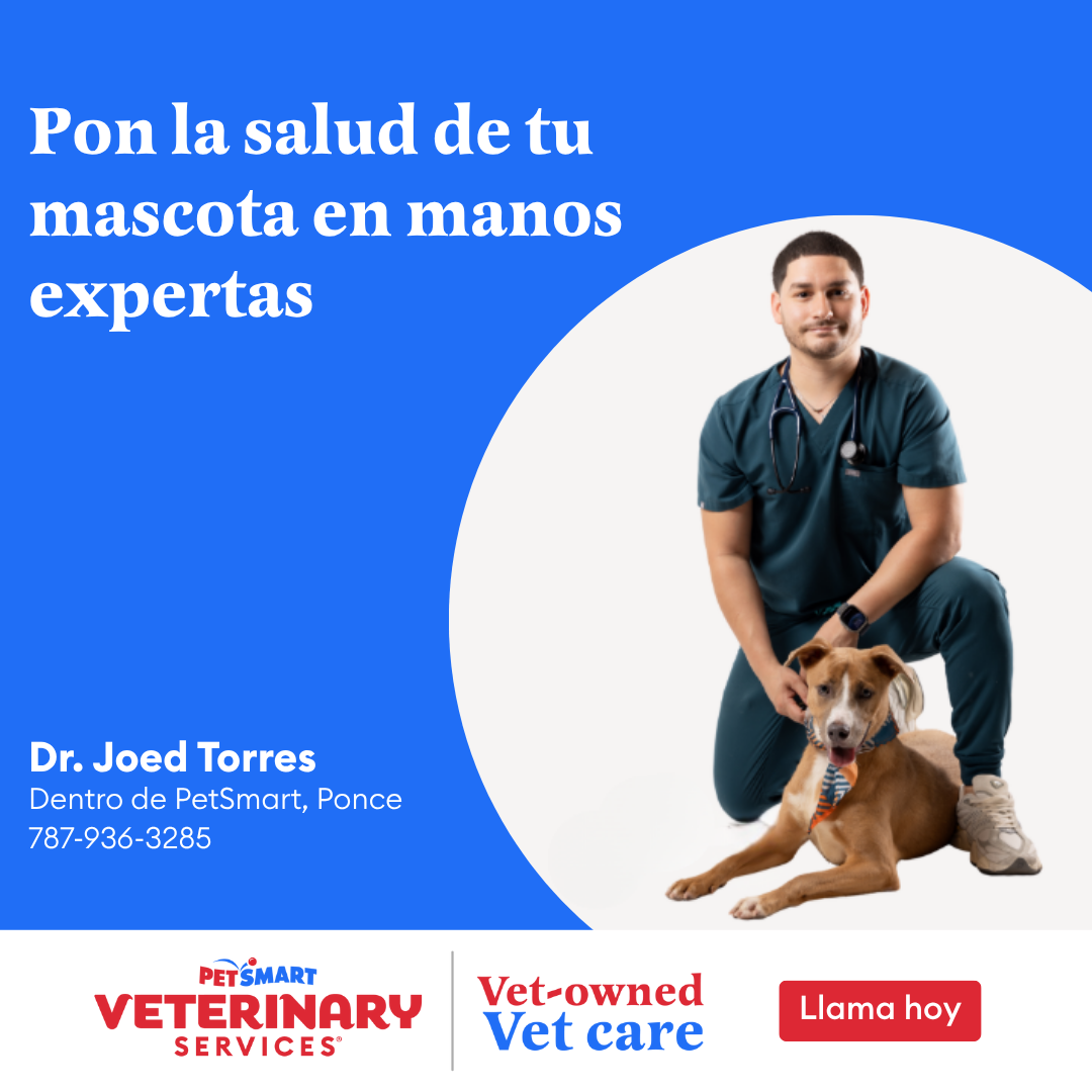 PetSmart Puerto Rico Facebook ad