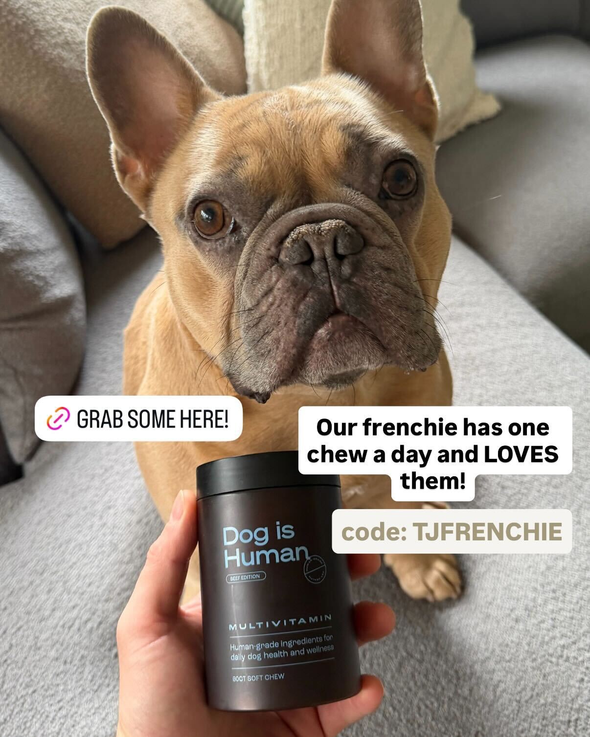 Dog is Human Facebook ad