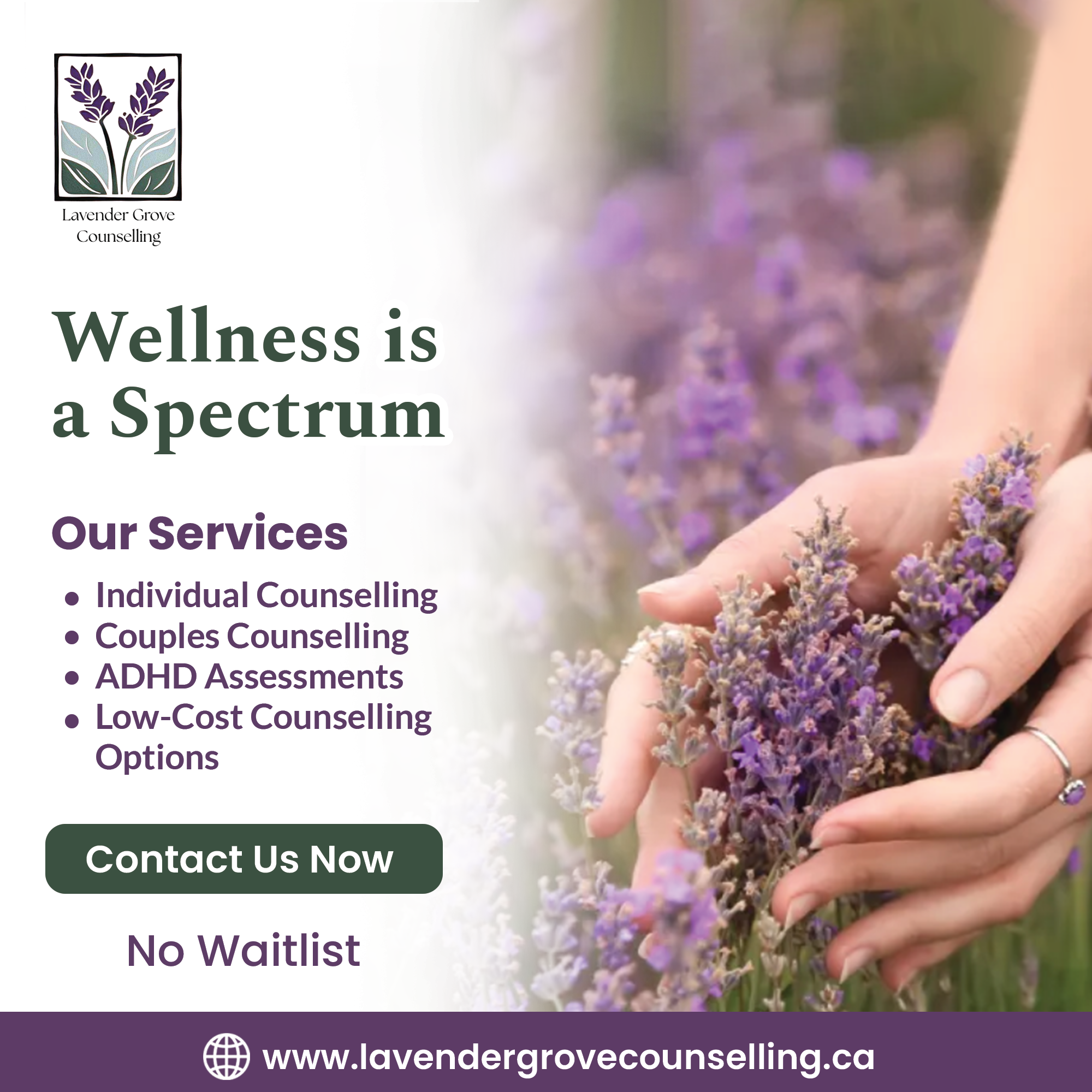 Lavender Grove Counselling Facebook ad: Get in Touch With Us