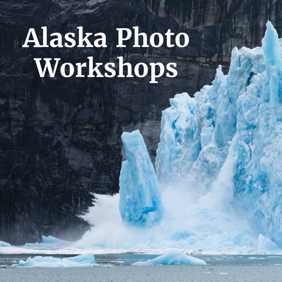 Akari Photo Tours Facebook ad: Wild Alaska Photo Adventure