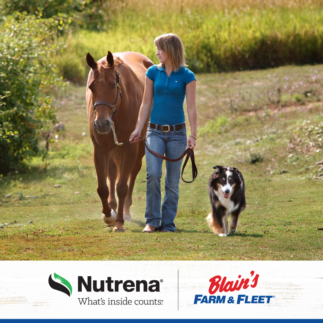 Blain's Farm & Fleet Facebook ad: Trusted Nutrition for Every Animal. Nutrena at Blain's.