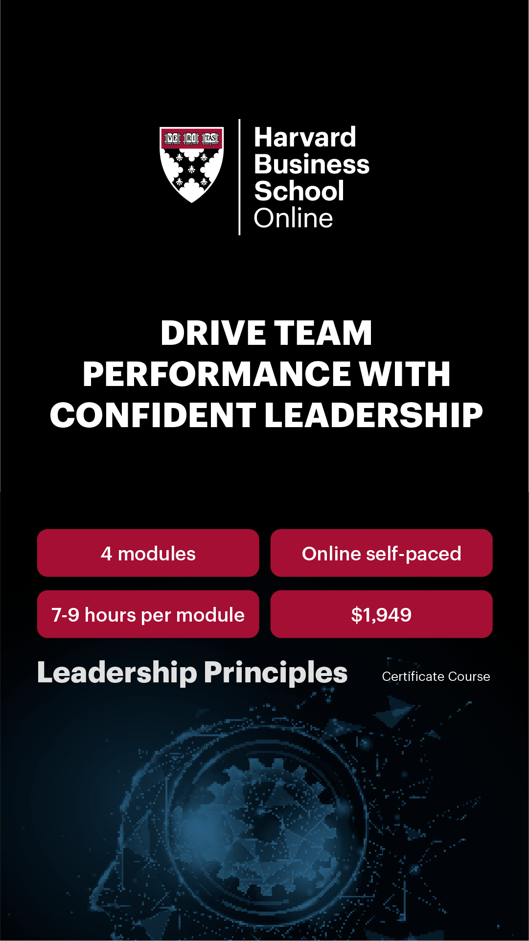 Harvard Business School Online Facebook ad