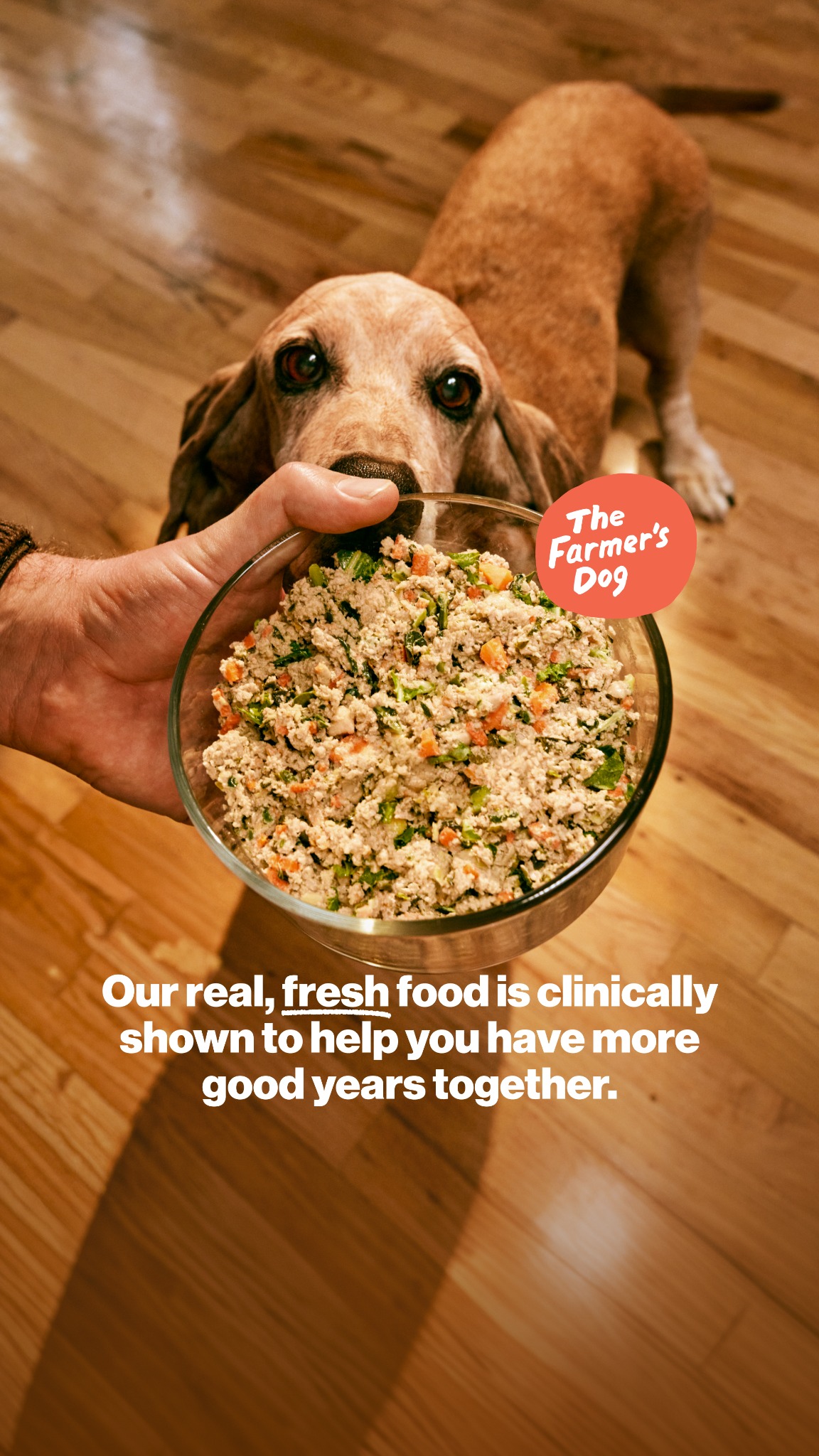 The Farmer's Dog Facebook ad