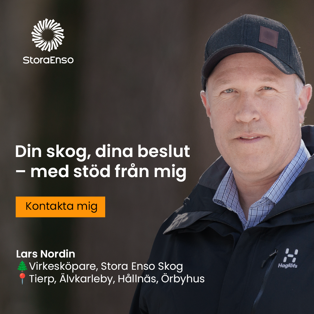 Stora Enso Skog Facebook ad from Nov 19, 2025