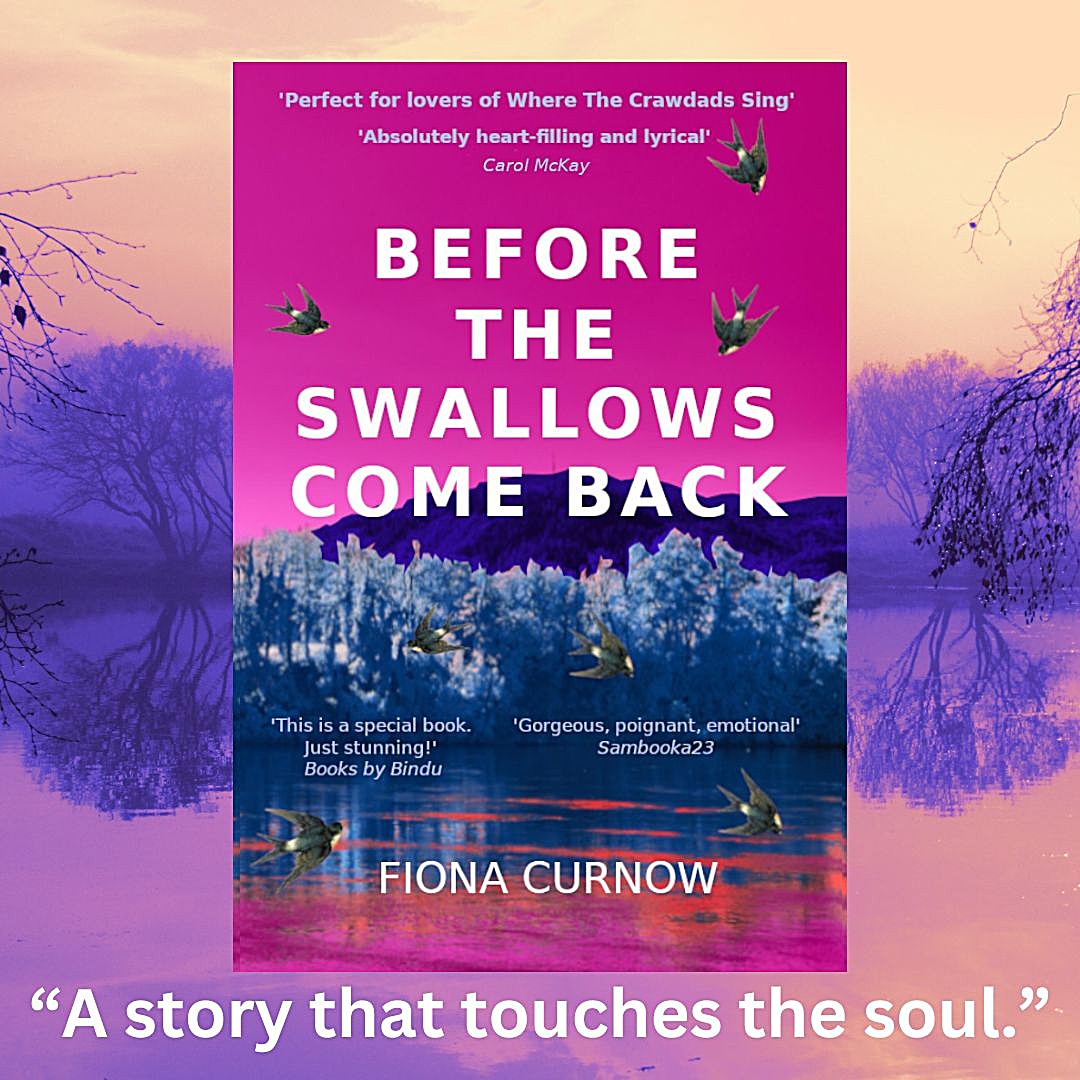 Fiona Curnow Author Facebook ad: An immense story!
