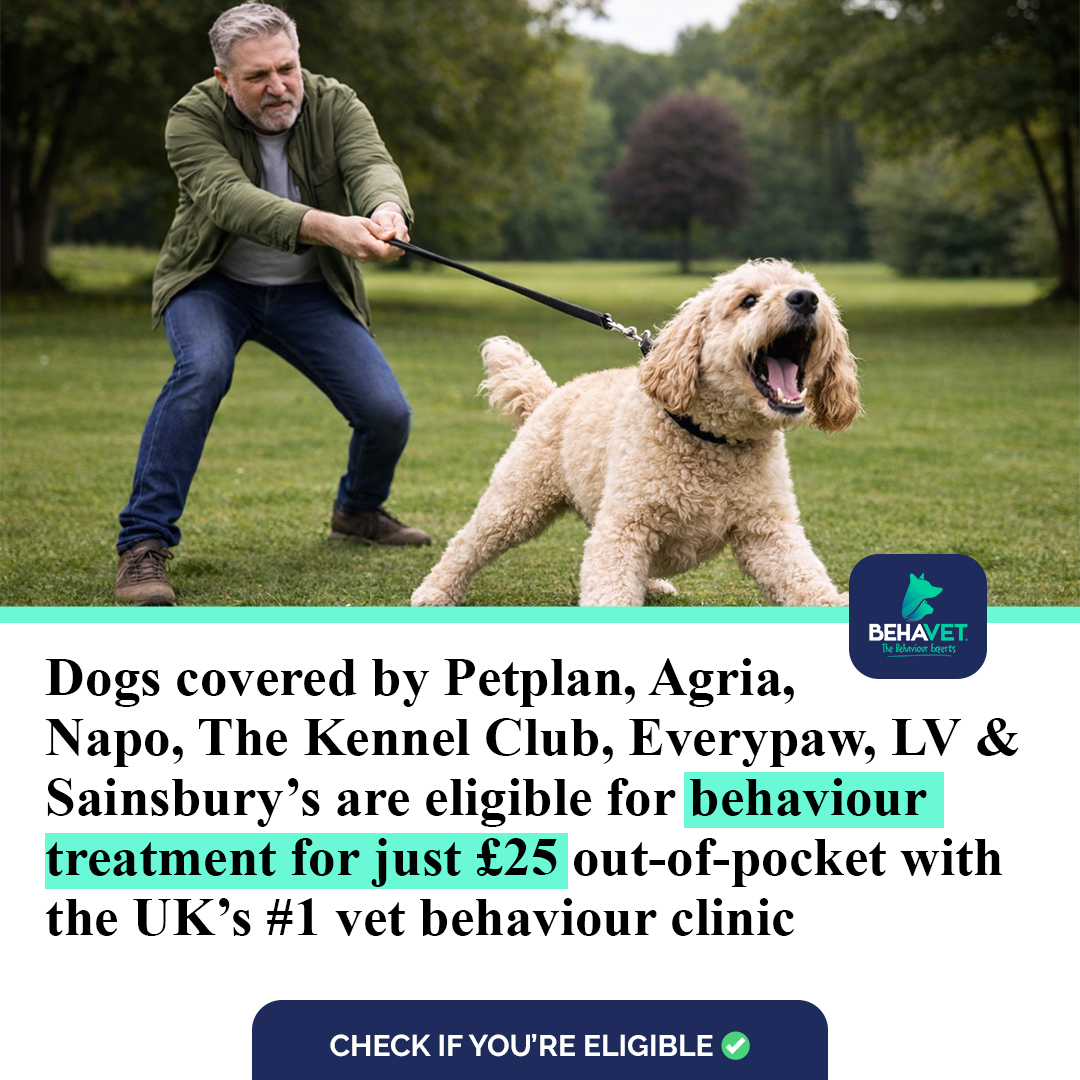 Behavet: The Pet Behaviour Experts Facebook ad