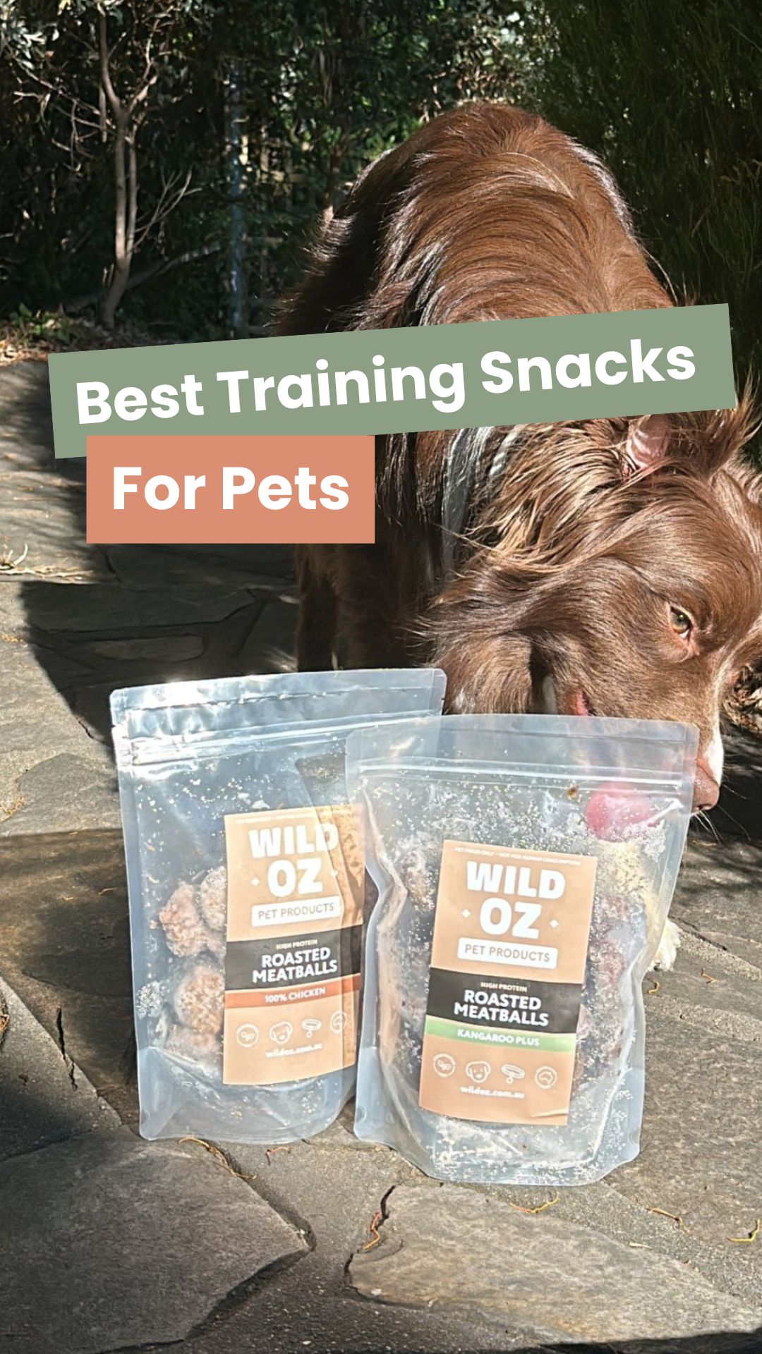 Wild Oz Pet Products Facebook ad
