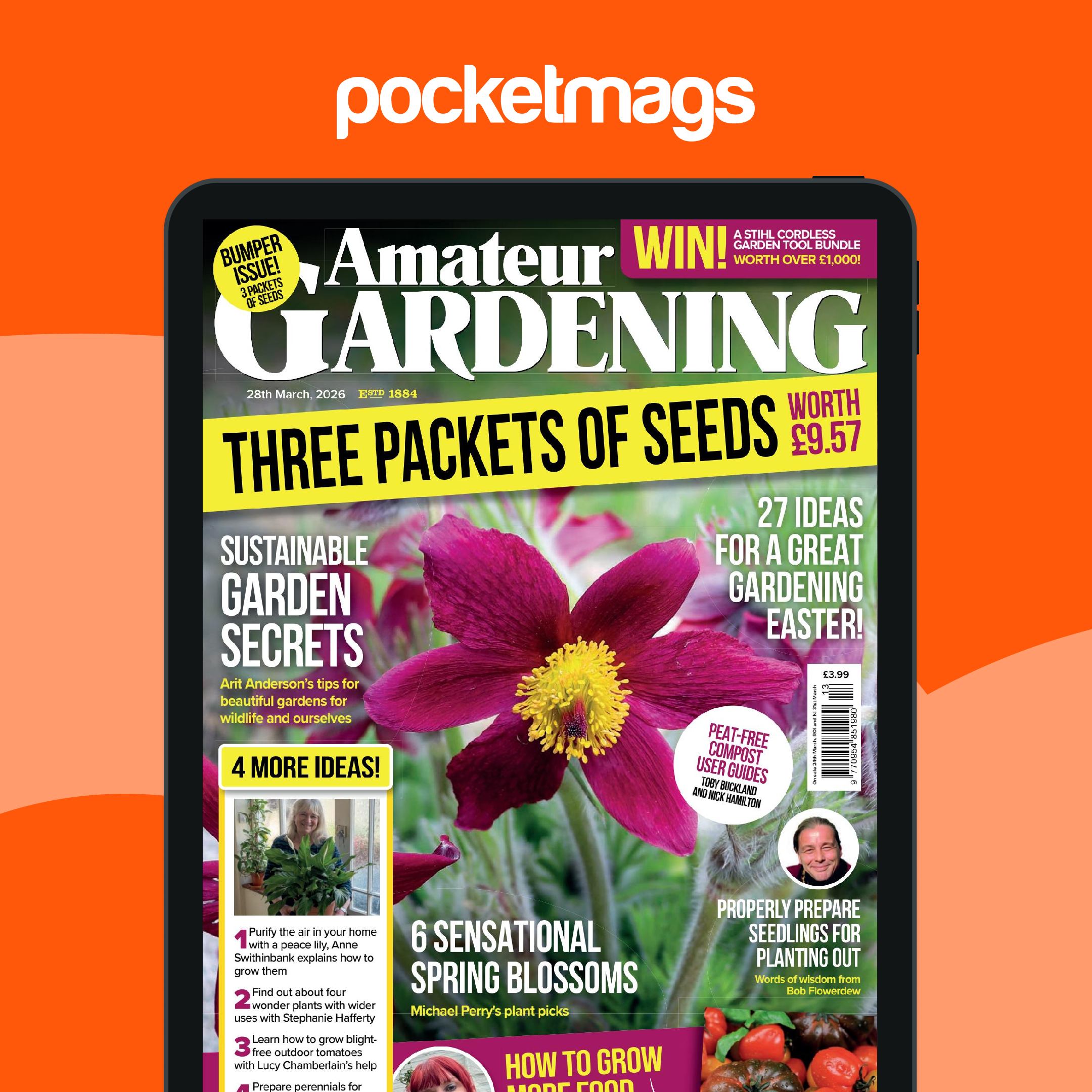 Pocketmags Facebook ad: Unlimited Magazines, One Low Price.