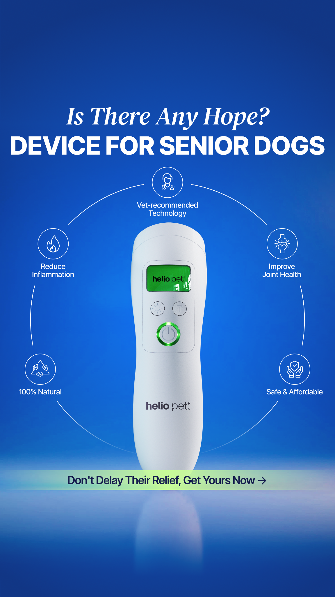 Helio Pet Facebook ad