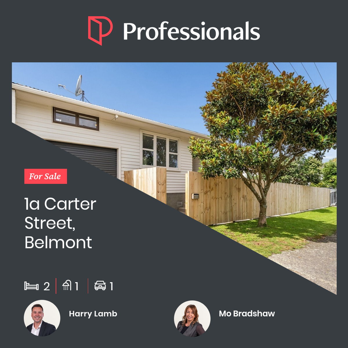 Professionals Redcoats Facebook ad: 1a Carter Street, Belmont
