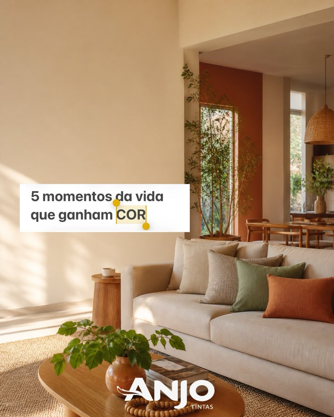 Anjo Tintas Facebook ad: Tem momentos da vida que a gente nunca…