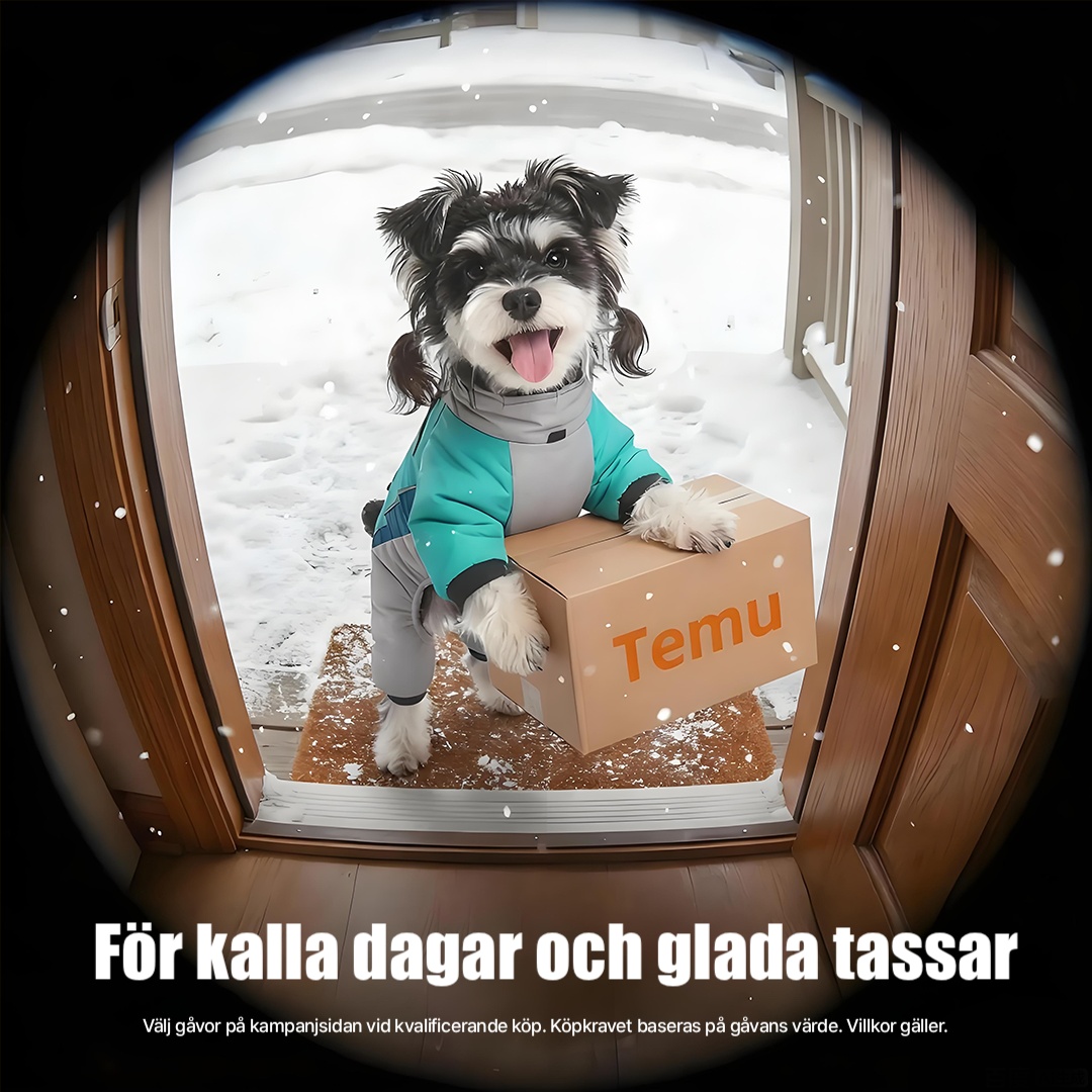Temu Sweden Facebook ad