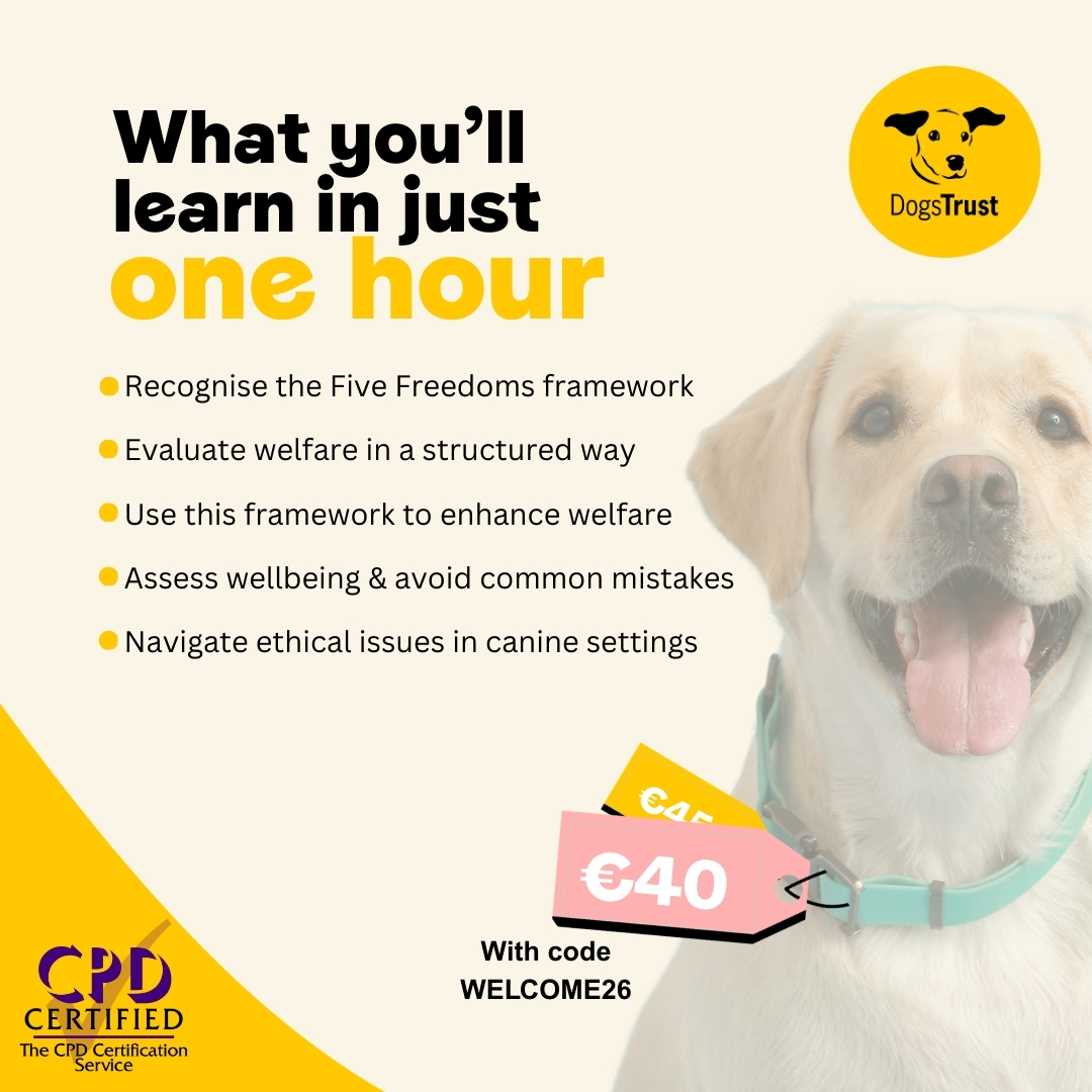 Dogs Trust Ireland Facebook ad: Sign up now and get €5 off >>