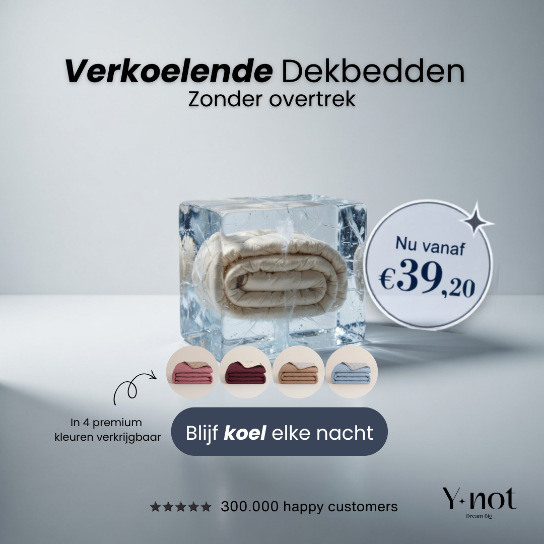 Ynot-dreambig Facebook ad